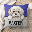 Search for bichon frise cushions Cute