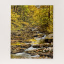 Search for smoky mountains puzzles Forest