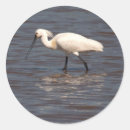 Search for mirror stickers White