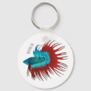 Search for betta fish key rings Siamese fighting fish