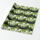 Search for snakes wrapping paper Zoo