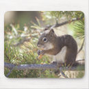 Search for wild one mousepads Usa