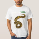 Search for adder Reptile