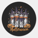 Search for cool skull stickers Witch