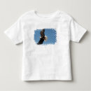 Search for bird flight tshirts Homer