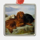 Search for irish setter christmas tree decorations Animal