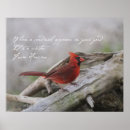 Search for appears posters Cardinal