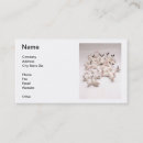 Search for rabbits business cards Bunny