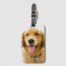 Search for golden retriever accessories Animal