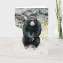 Search for chimp cards Primate