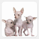 Search for bonding stickers Dog