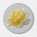 Search for yellow rose magnets Bright