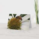 Search for pollen cards Honey