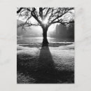 Search for winter silhouette postcards Nature