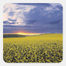 Search for cloudy stickers Yellow