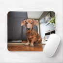 Search for domestic mousepads Dachshund