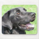 Search for black lab mousepads Labs