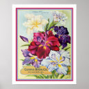 Search for iris art Old