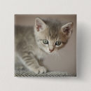 Search for pet portrait badges Baby animals