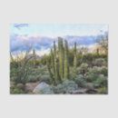 Search for southwest tissue paper Cacti