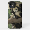 Search for researcher iphone cases Fauna
