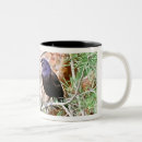 Search for common mugs Wildlife