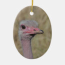 Search for ornithologist christmas tree decorations Ornithology