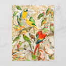 Search for ara postcards Exotic