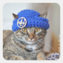 Search for cats wearing hats stickers Cute