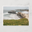 Search for ucsc postcards Pacific
