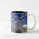 Search for cherry blossom festival mugs Tree