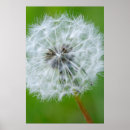 Search for vancouver island art Danita delimont