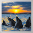 Search for animals in captivity posters Cute