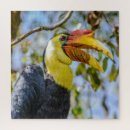 Search for closeup Bird