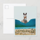 Search for save a horse postcards Animals