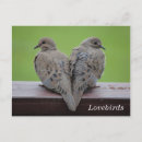 Search for mourning postcards Dove
