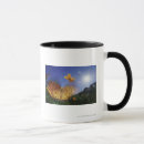 Search for flapping Floral