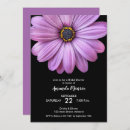 Search for daisy bridal shower invitations Black