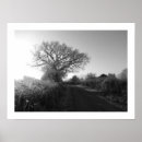 Search for frosty posters Nature