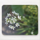Search for flower photo mousepads Garden