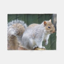Search for cute squirrel blankets Wildlife