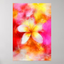 Search for plumeria art White