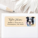 Search for border collie return address labels Animal lover