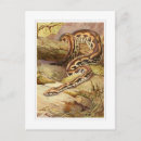 Search for boa postcards Reptile