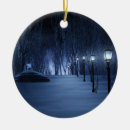 Search for birch trees christmas tree decorations Snow