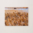 Search for reed puzzles Nature