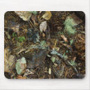 Search for pinecones mousepads Nature