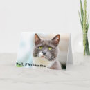 Search for funny cat birthday cards Grumpy