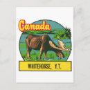 Search for yukon canada postcards Vintage