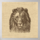 Search for lion brown posters Nature